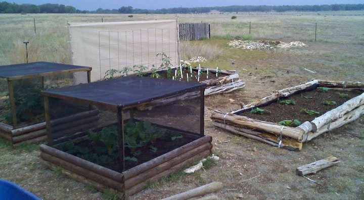 Our summer garden, in our pasture, protected from pests, wind and evaporation.